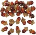 Baker Ross FN307 Artificial Acorns Crafts 29 Pieces Autumn Essentials Wreath New
