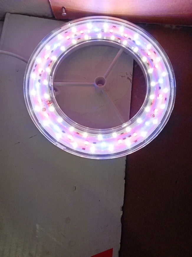 Yuymika Grow Lights Indoor Plants 72 LEDs Full Spectrum Led Plant 10 Dimmable