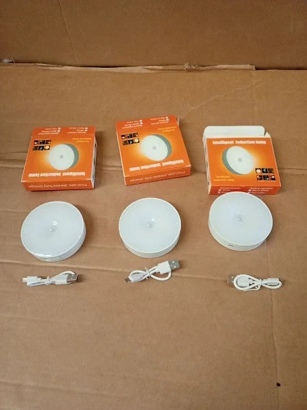 Motion Sensor Stair Wall Lights Indoor Rechargeable Wireless LED 6000K