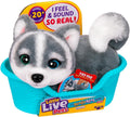Little Live Pets My Really Real Puppy Minis Aurora Husky Kids 11cm 4.3in New