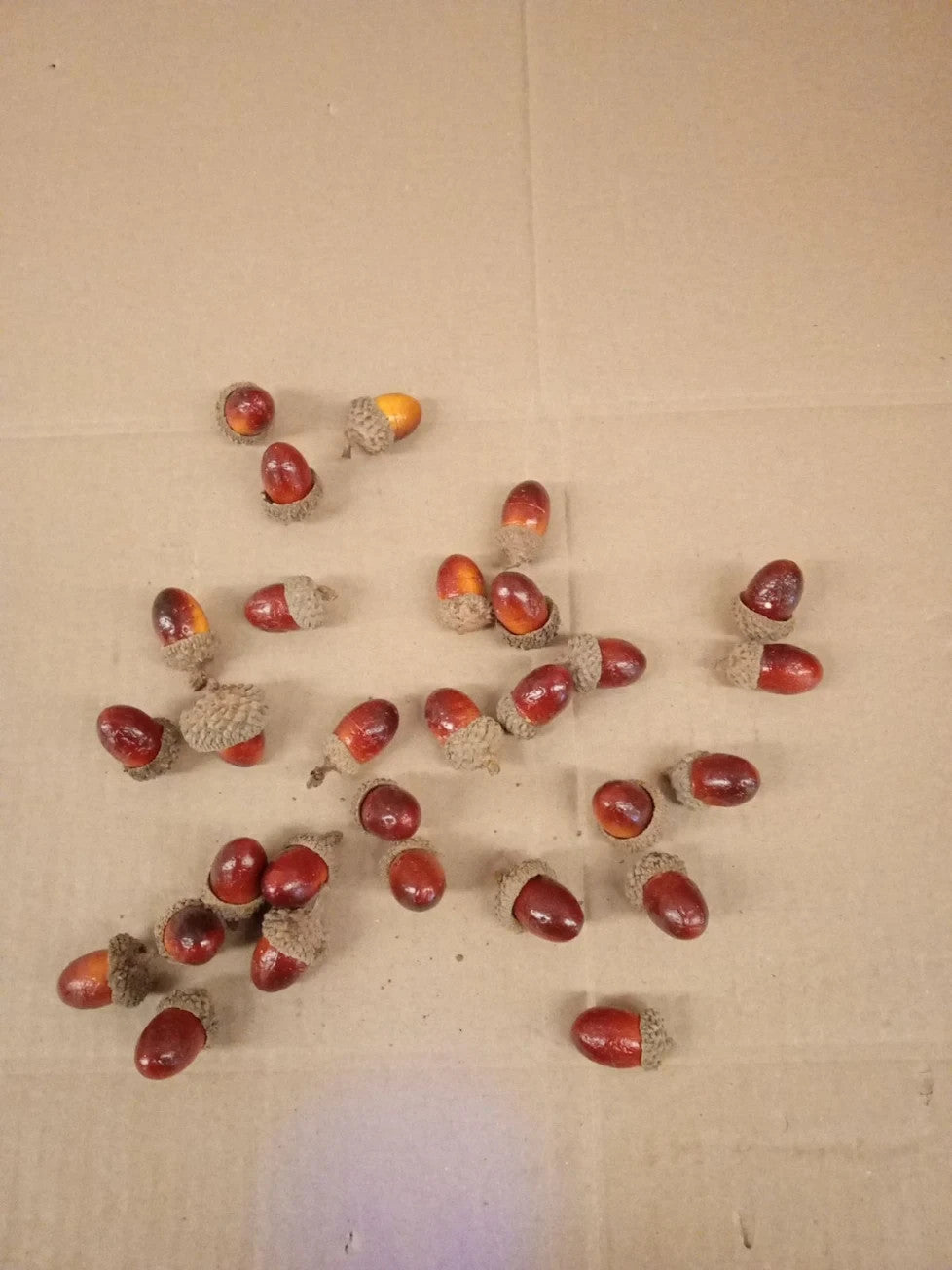 Baker Ross FN307 Artificial Acorns Crafts 29 Pieces Autumn Essentials Wreath New