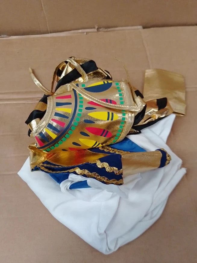Lito Angels Egyptian Pharaoh Costume Boys Gold Halloween Fancy Dress Design New