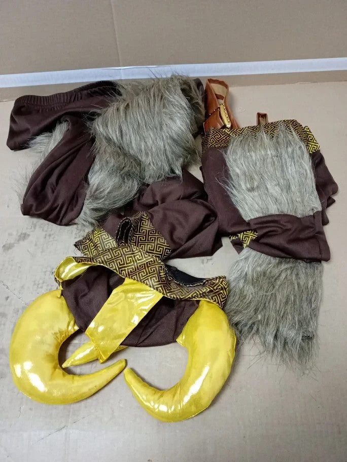 Fun Shack Boys Deluxe Viking Costume Kids World Book Day Medium 7+ New