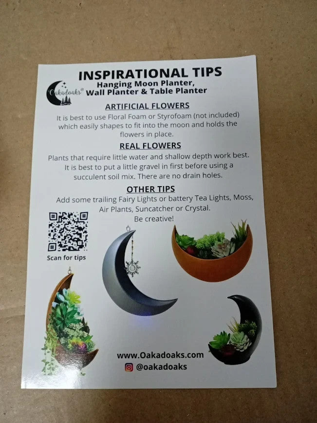 Hanging Moon Planter Room Decor Great Succulents Air Plant Indoor