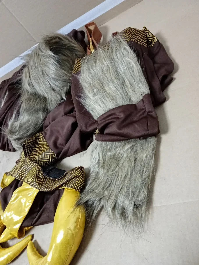 Fun Shack Boys Deluxe Viking Costume Kids World Book Day Medium 7+ New