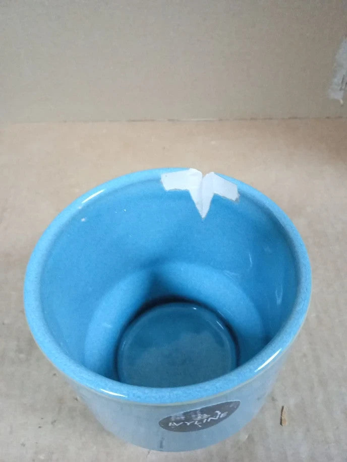 Ivyline Mia Planter Aqua 11cm Round Flower Pot Indoor Outdoor Modern Decoration
