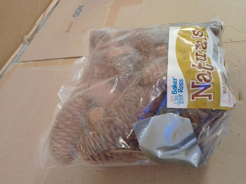 Baker Ross AF922 Long Pine Cones Value Pack Ideal Kids Arts Crafts 250g New