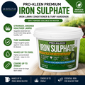 Pro Kleen Premium Iron Sulphate Makes Up To 2500L When Diluted Covers To 2500m2