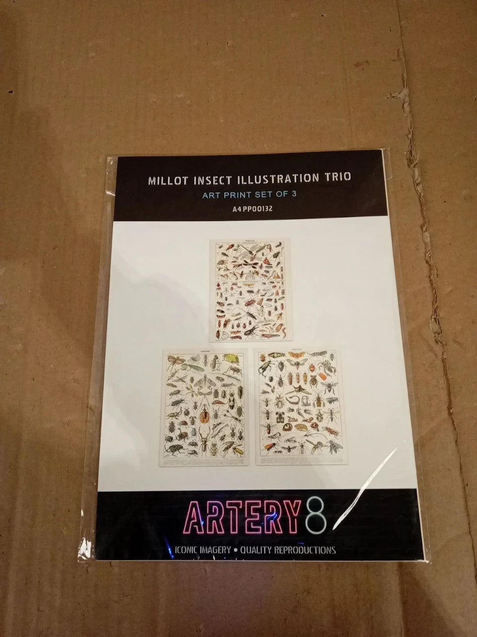 Artery8 Insects Bugs & Beetles Retro Vintage Millot 3 Pack Unframed Wall Art New