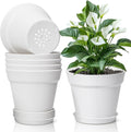 T4u 12.5cm Plastic Plant Pots 6 Pack Small Drainage Hole Indoor Outdoor New