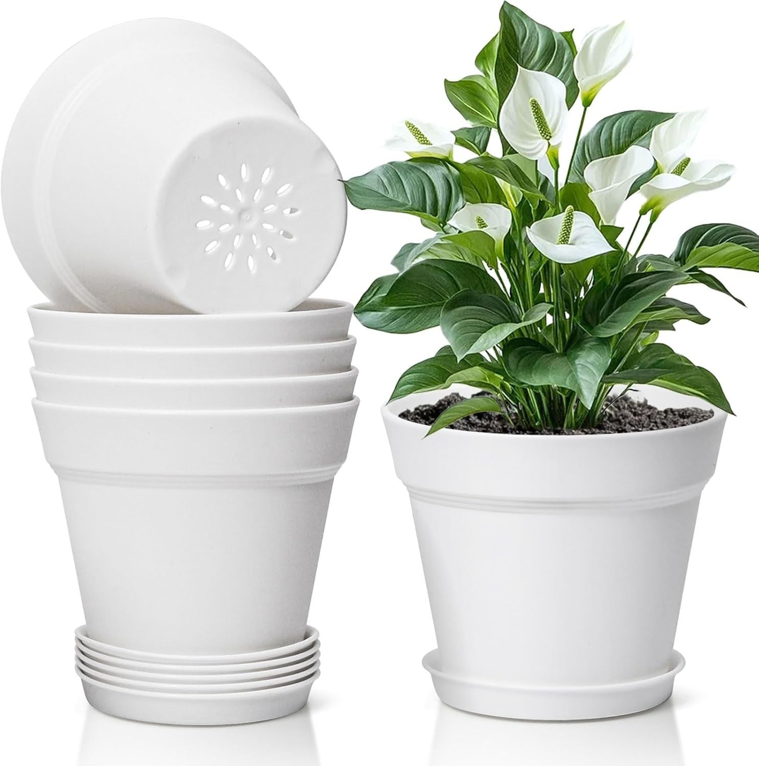 T4u 12.5cm Plastic Plant Pots 6 Pack Small Drainage Hole Indoor Outdoor New
