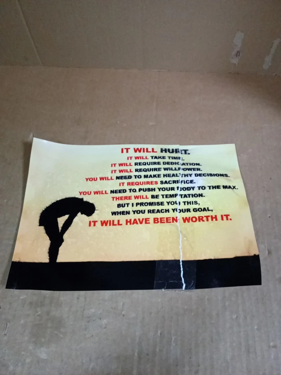 Inspirational Motivational Quote Sign Poster IT Will Hurt SILOHUETTE Sports