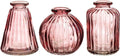 Sass Belle Pink Bud Set 3 Glass Vases Table Decoration 11.2x23.1x8.2cm New