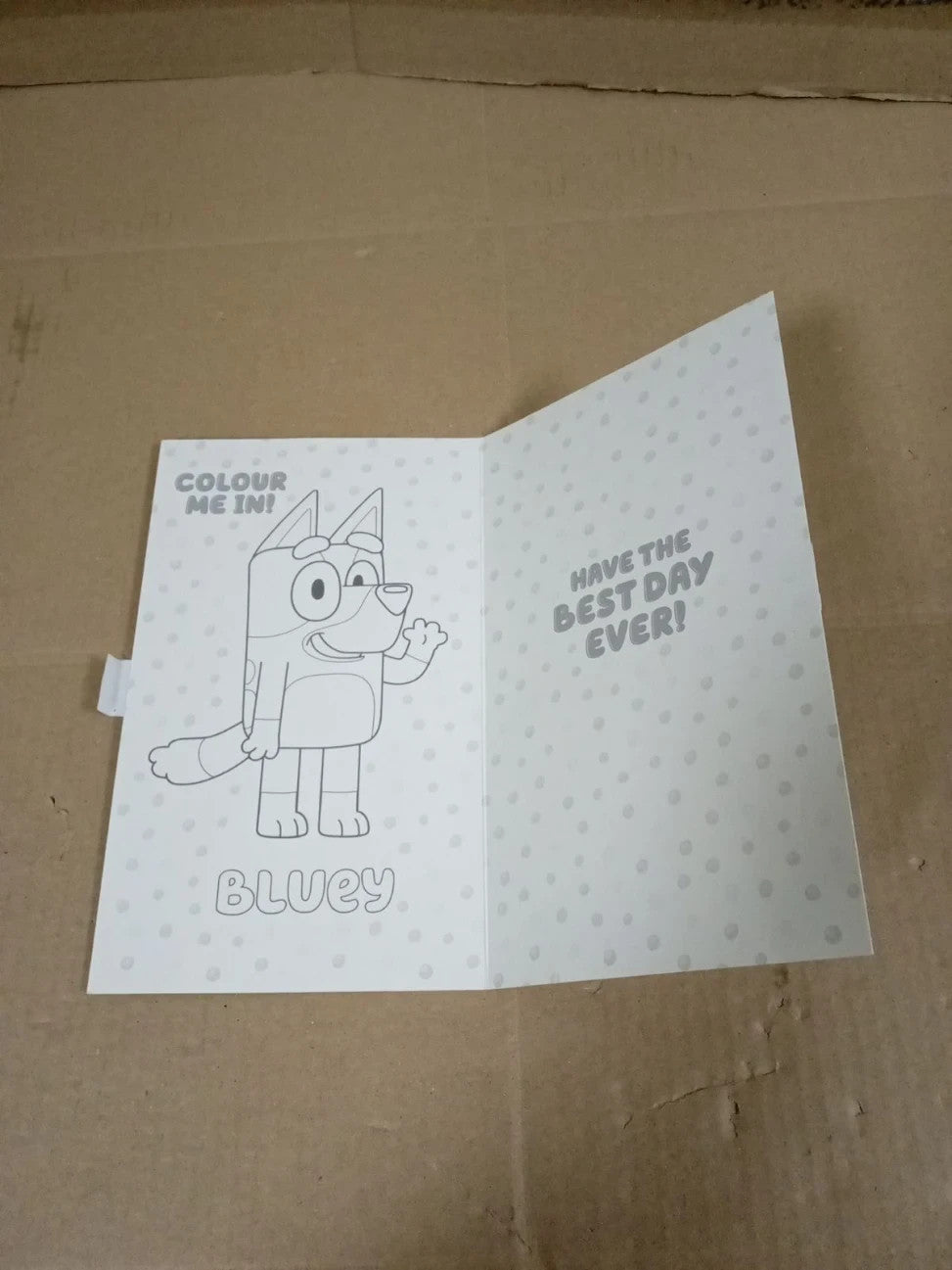 Danilo Promotions Bluey Generic Birthday Fun Card