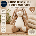 GUESS HOW MUCH I LOVE YOU HARE Brown Large Nutbrown 13x11x22cm