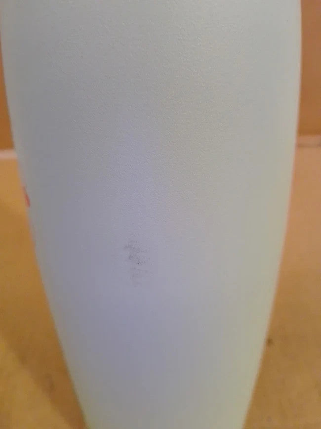 SodaStream Fizz Go Cool Stainless Steel Carbonated Water Bottle 0.9L Mint Green