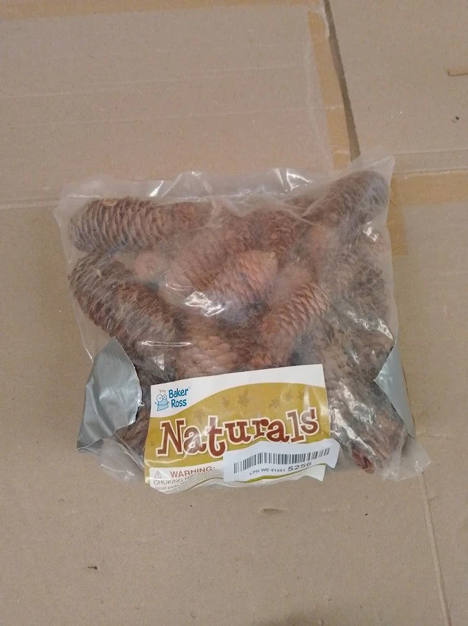 Baker Ross AF922 Long Pine Cones Value Pack Ideal Kids Arts Crafts 250g New