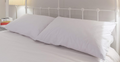Extra Large White Pillowcase Pair 22x31 Inch Soft Bed Pillow Covers Design New