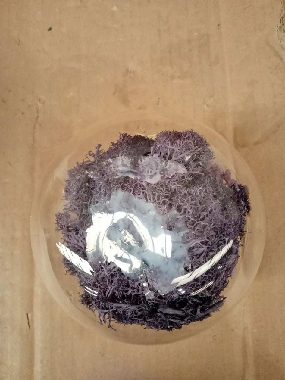 Eternal Preserved Real Rose Glass Dome Gift Mothers Day Valentine Christmas