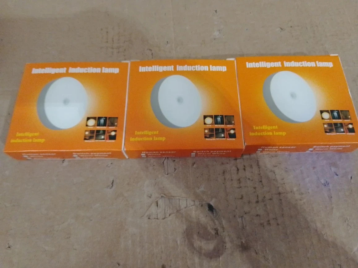 Motion Sensor Lights Indoor Rechargeable Wireless Wall LED Stair Night 3pc