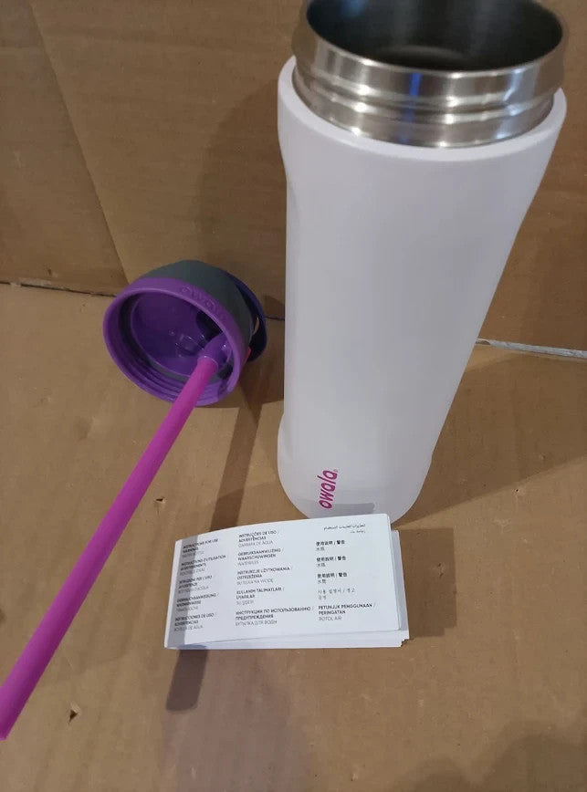 Owala FreeSip Insulated Stainless Steel Water Bottle Straw 710ml Dreamy Field