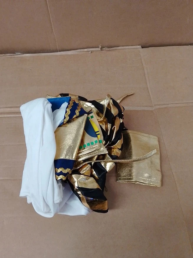 Lito Angels Egyptian Pharaoh Costume Boys Gold Halloween Fancy Dress Design New