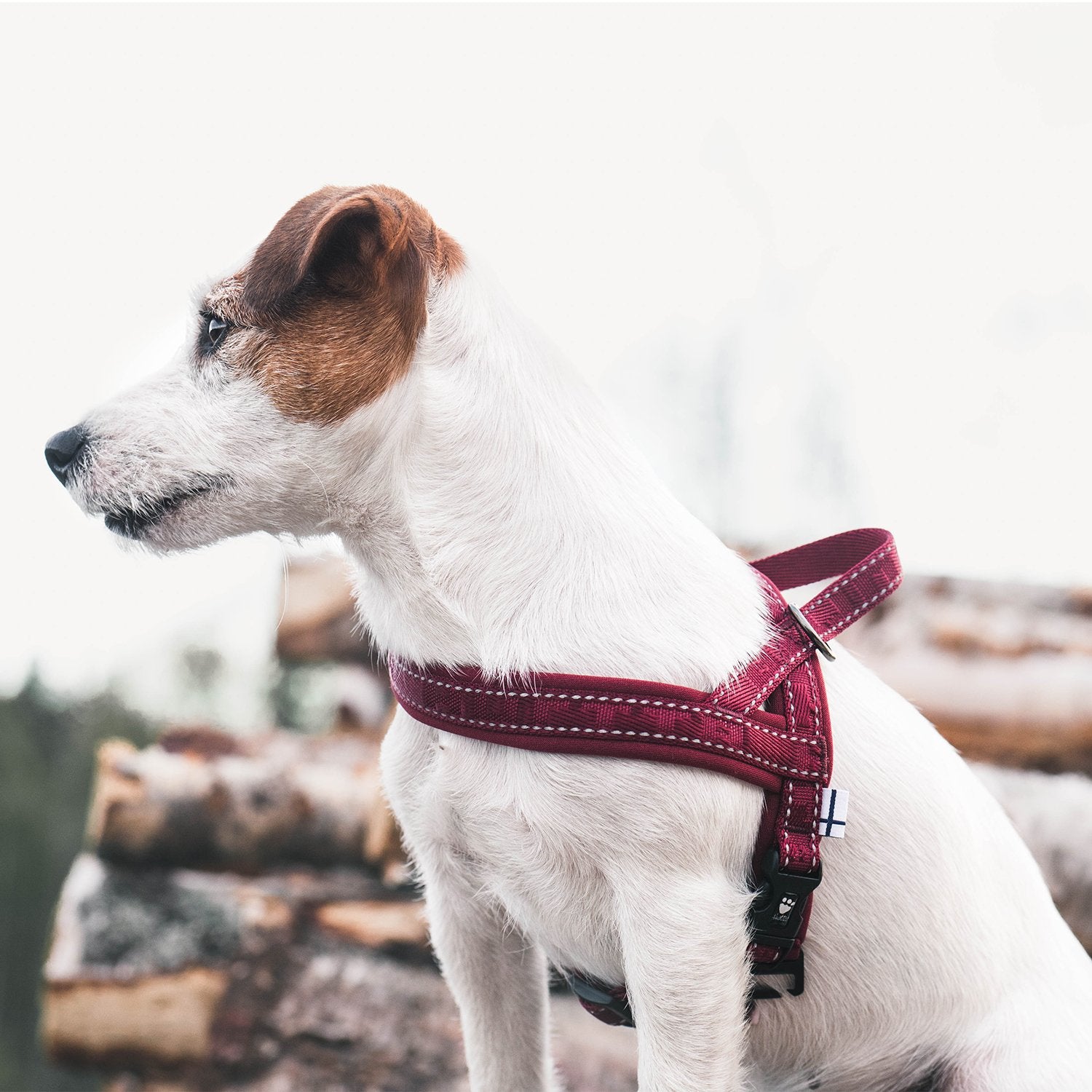 Hurtta Casual Padded Dog Harness, Lingon, 14 in